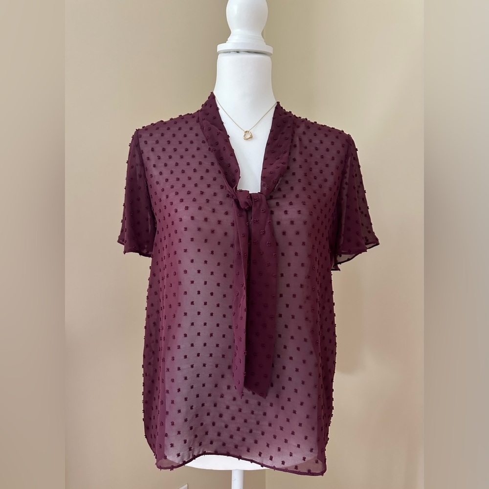 NWT BB Dakota sheer dot, tie-front blouse - size M - fig/plum.